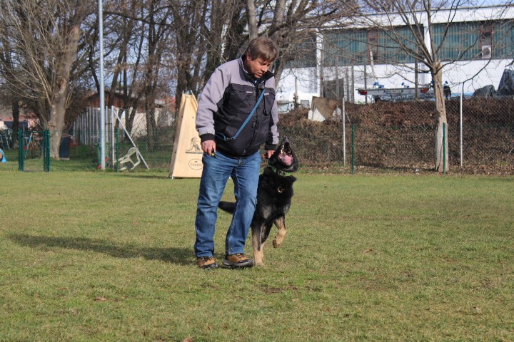 TRENING MB  - foto povečava