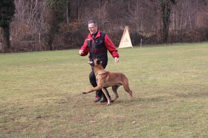 TRENING MB  - foto povečava