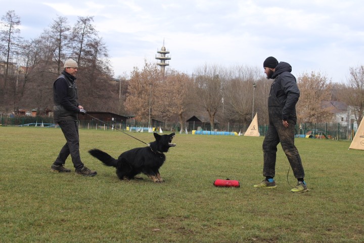 TRENING MB  - foto povečava