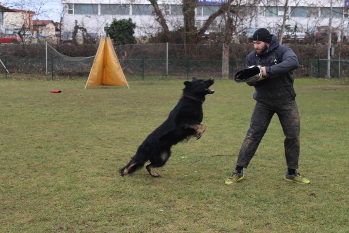 TRENING MB  - foto povečava