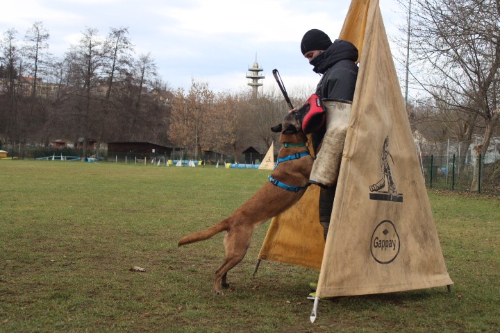 TRENING MB  - foto povečava