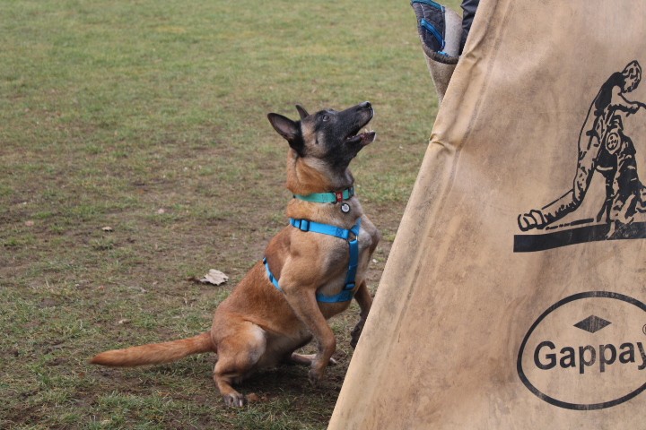 TRENING MB  - foto povečava