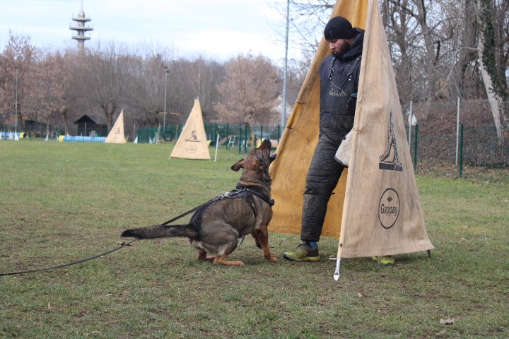 TRENING MB  - foto povečava