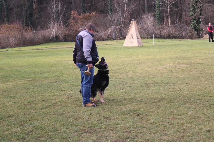 TRENING MB  - foto povečava