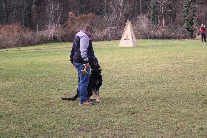 TRENING MB  - foto povečava