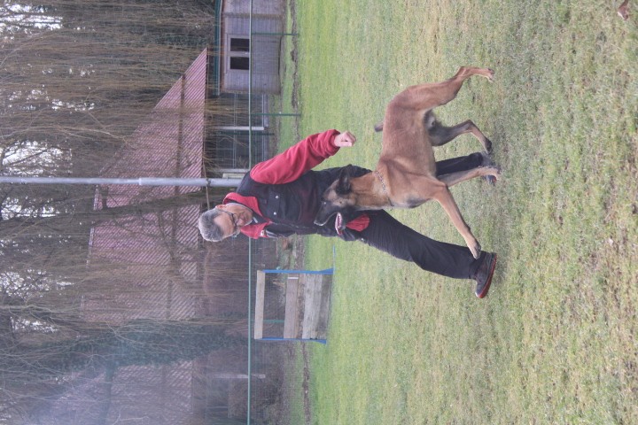 TRENING MB  - foto povečava