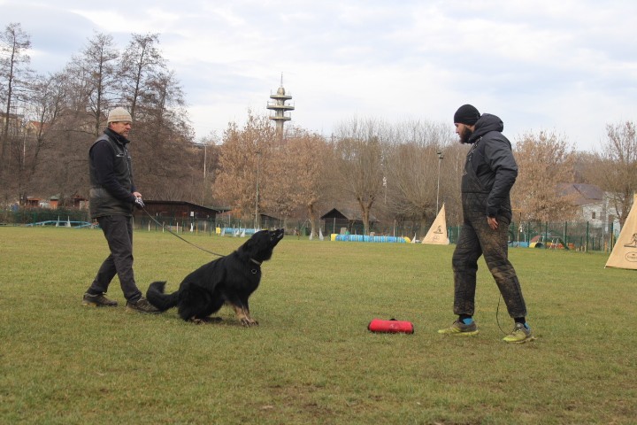 TRENING MB  - foto povečava