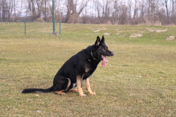 Trening Ptuj  - foto povečava