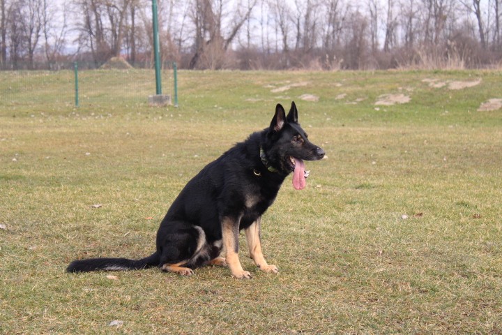 Trening Ptuj  - foto povečava