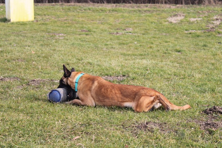 Trening Ptuj  - foto povečava