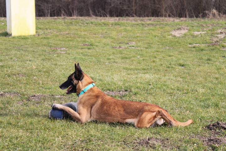 Trening Ptuj  - foto povečava