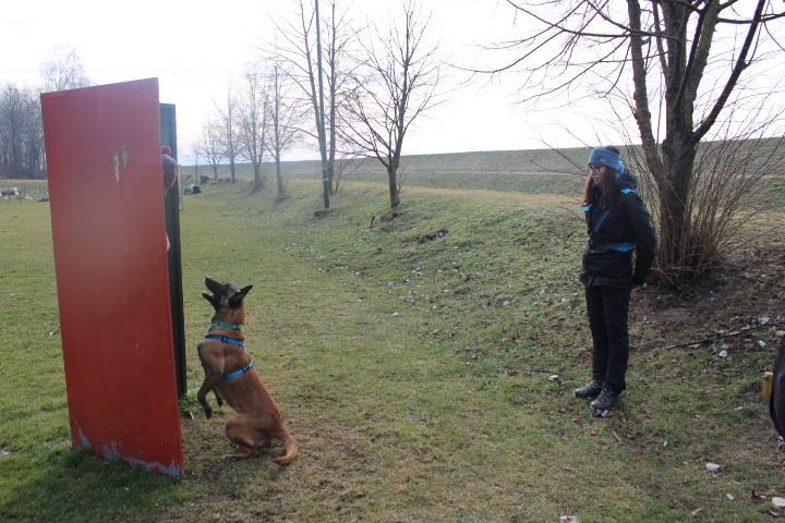 Trening Ptuj  - foto povečava