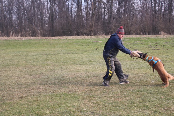 Trening Ptuj  - foto povečava