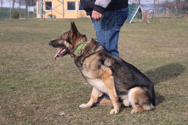 Trening Ptuj  - foto povečava