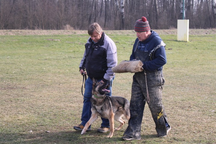 Trening Ptuj  - foto povečava