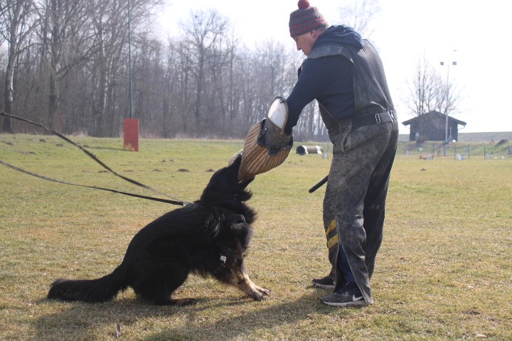 Trening Ptuj  - foto povečava