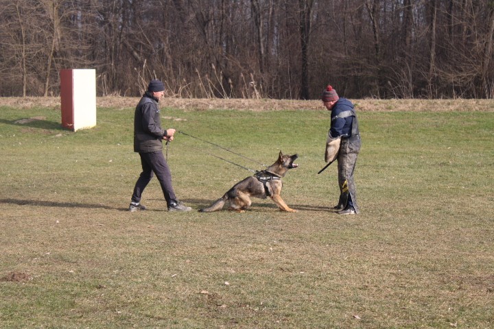 Trening Ptuj  - foto povečava