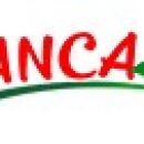 Flanca logotip