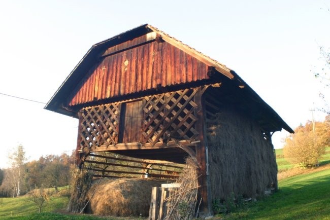 Dobovlje 29.10.06 makro - foto povečava