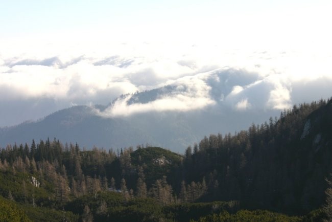 Korošica 26.11.06 - foto povečava