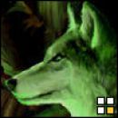 Pa še volkc usvetlen z zeleno,,