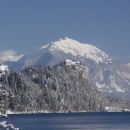 bled
