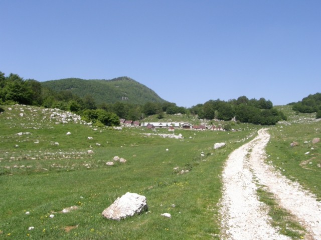 Planšarija
