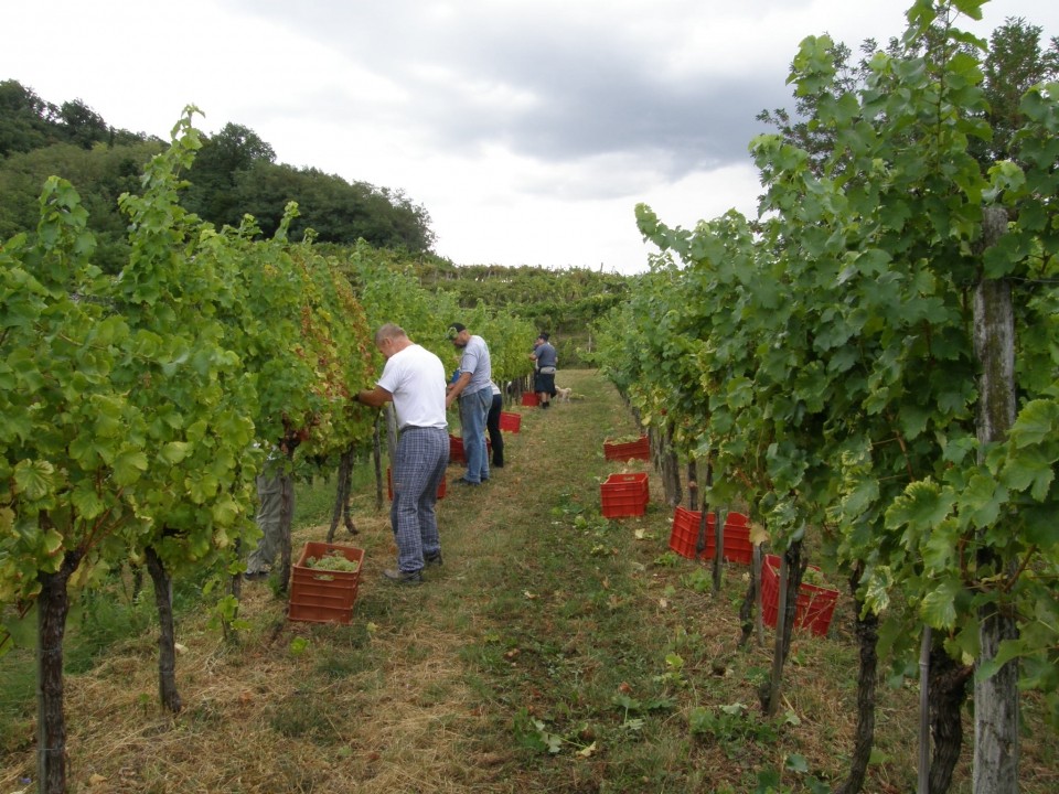 Vandima pri Ervinu 09 - foto povečava