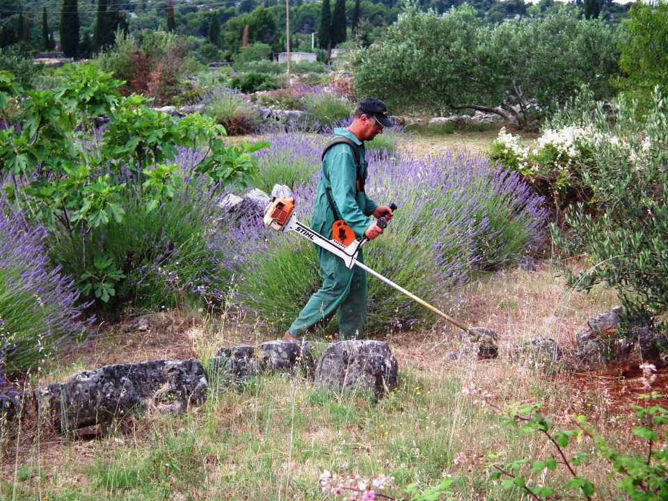  Hvar junij 2011 - foto povečava