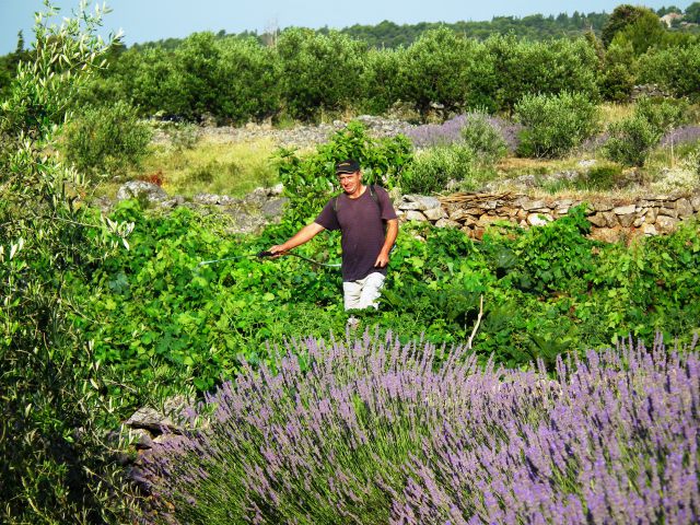  Hvar junij 2011 - foto