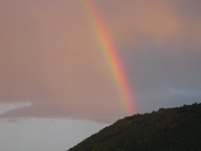 Braniška kvaternica 06 - foto povečava