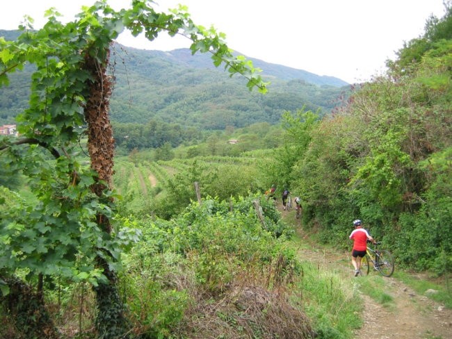 Braniška kvaternica 06 - foto povečava