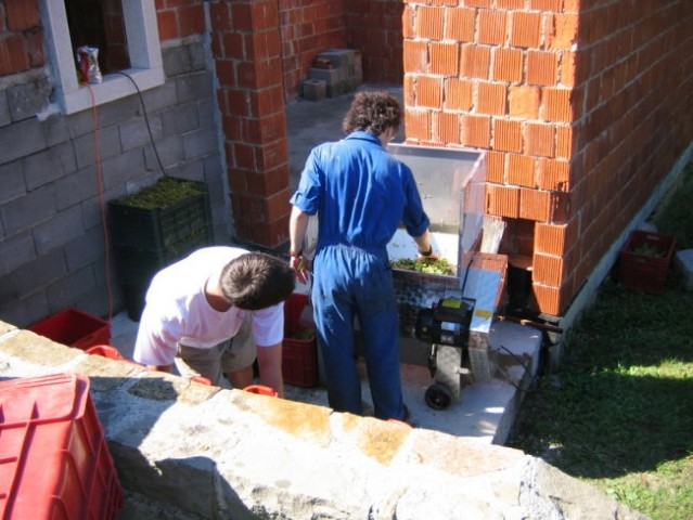 TRGATEV PRI ERVINU - foto