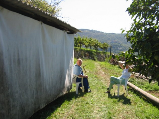 TRGATEV PRI ERVINU - foto