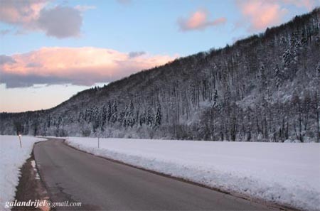 Narava - foto povečava