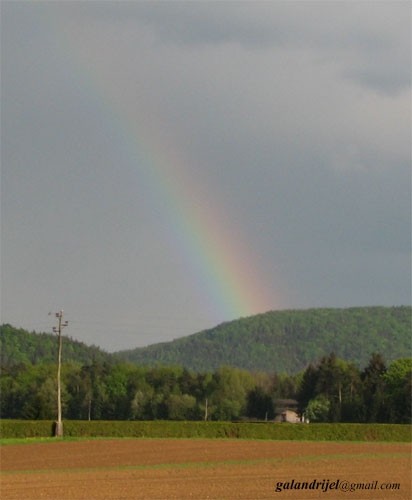 Narava - foto