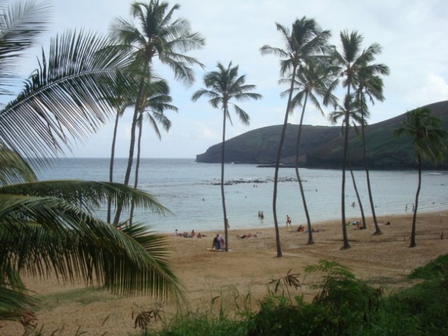 Hawaii - november 2007 - foto