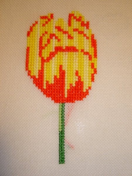 Tulipanček tretjič