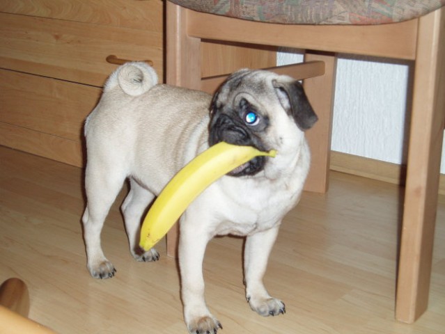 Kdo mi bo olupil banano?