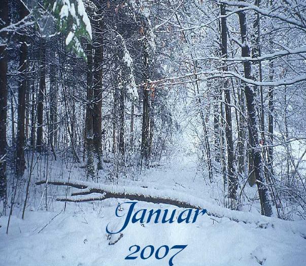 Januar - 2oo7 - foto