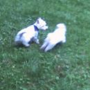 Skye & Oli