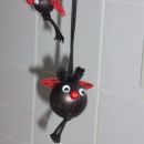 Pikipoki