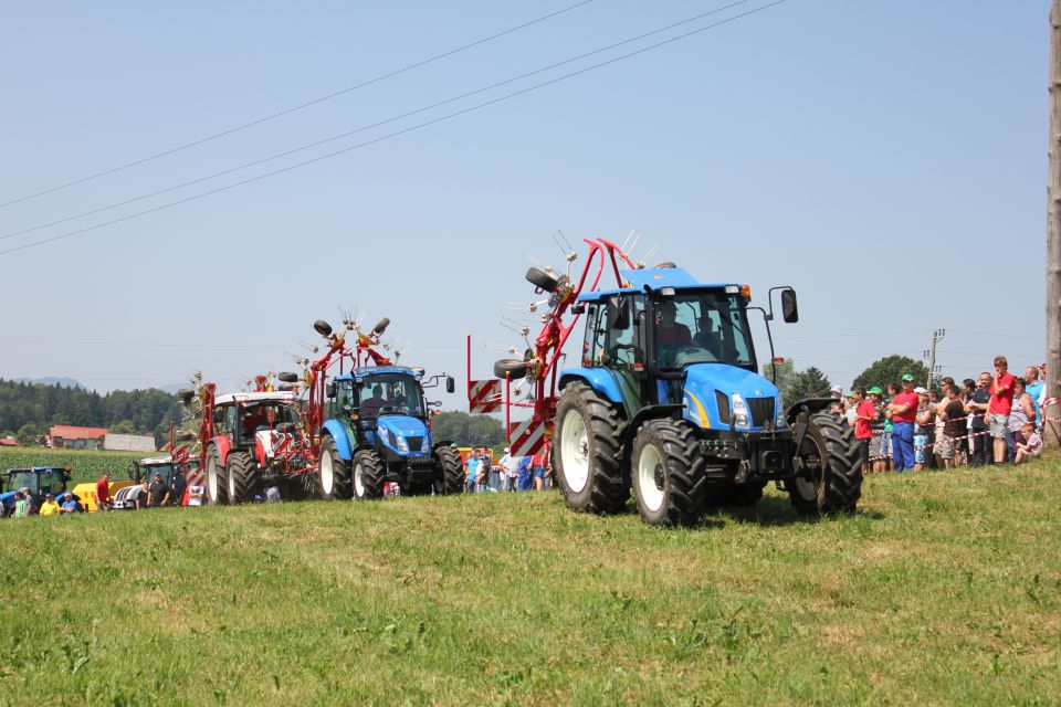 DTF DEMO 2012 - foto povečava