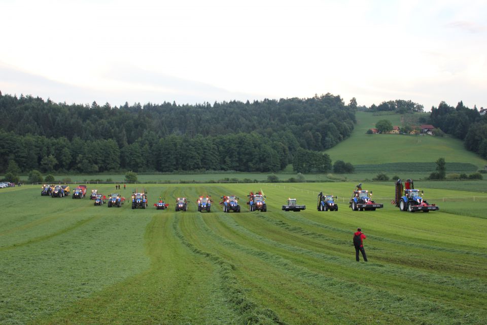 8. DTF DEMO - foto povečava