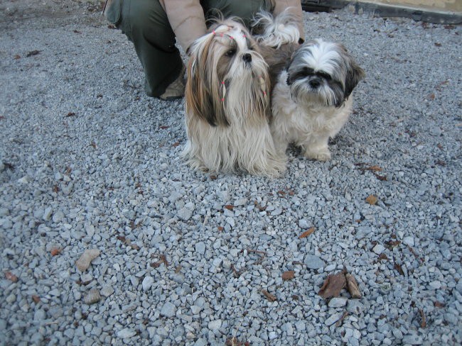 Joya & Šela 