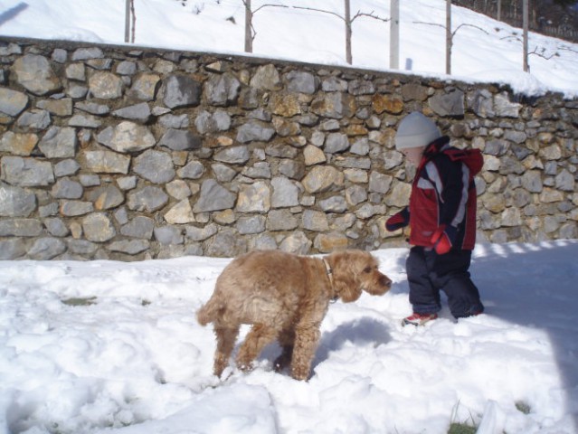 22.3.2008 mi mamo pa cca 20 centinov snegaaaaa na dvorišču
