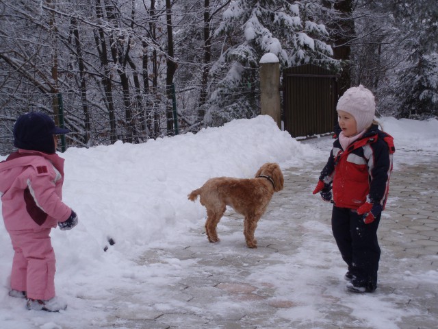 Lizika zelo rada lovi sneg in deklice