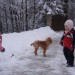 Lizika zelo rada lovi sneg in deklice