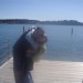 Portorož in en pomol