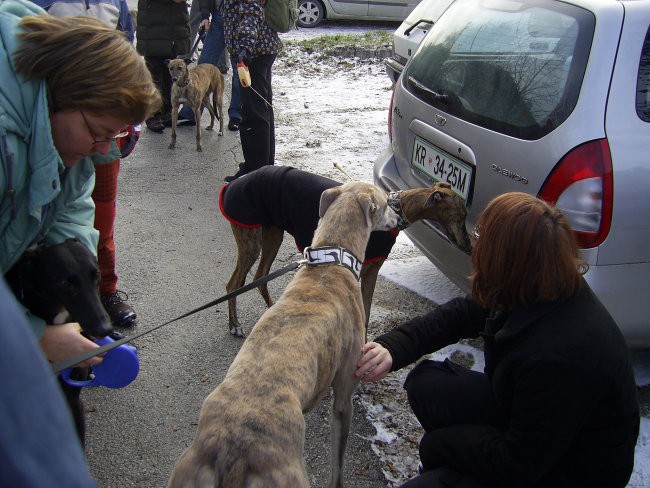 16.12.07 - Posvojitev hrtkov - foto povečava